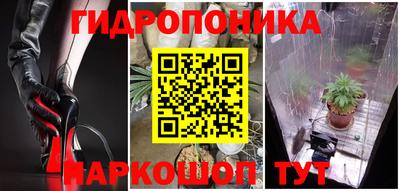 дмт Владивосток
