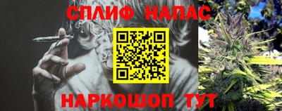 дмт Владикавказ