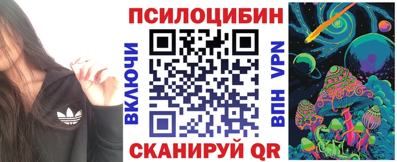 блэк спрут tor хочу наркоту Канск Галлюциногенные грибы мицелий